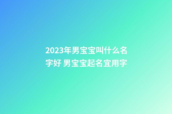 2023年男宝宝叫什么名字好 男宝宝起名宜用字